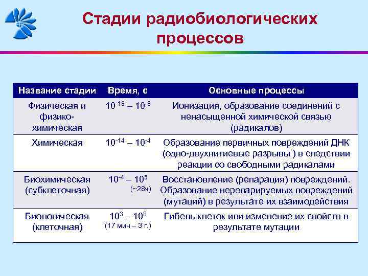 Название этапов