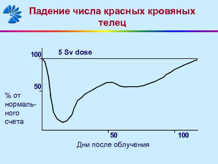 Падение числа красных кровяных телец 5 Sv dose % от нормального счета Дни после