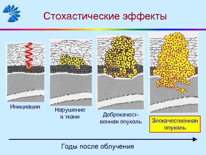 Эффект остаточного изображения возникает в результате