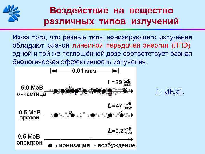 Воздействие на вещество различных типов излучений Из-за того, что разные типы ионизирующего излучения обладают