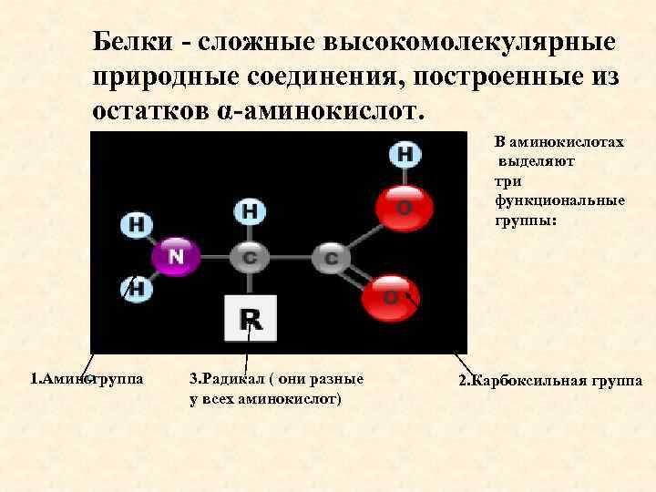 Вещества состоят из аминокислот