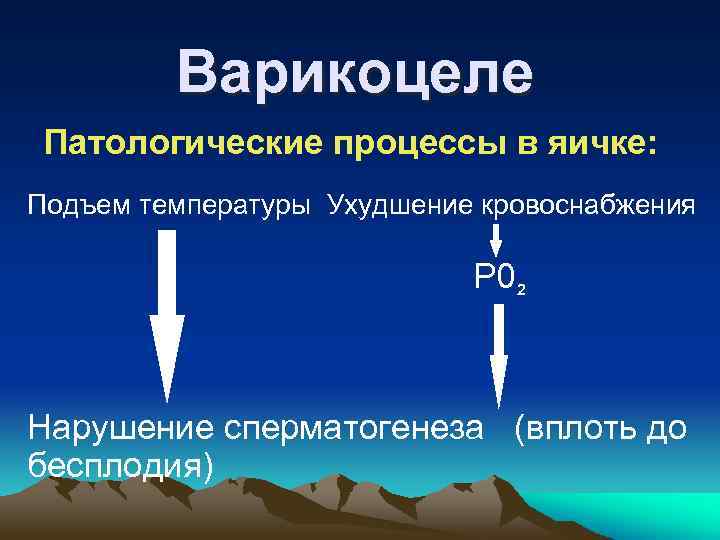 Варикоцеле Патологические процессы в яичке: Подъем температуры Ухудшение кровоснабжения P 0 2 Нарушение сперматогенеза