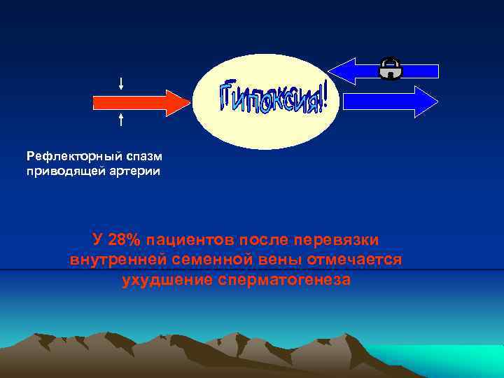 Венозная гипертензия Гипоксия Рефлекторный спазм приводящей артерии У 28% пациентов после перевязки внутренней семенной