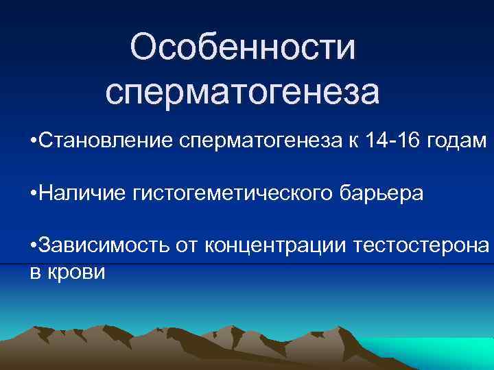 Особенности сперматогенеза • Становление сперматогенеза к 14 -16 годам • Наличие гистогеметического барьера •