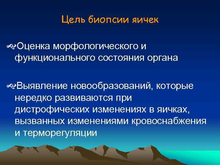 Цель биопсии яичек Оценка морфологического и функционального состояния органа Выявление новообразований, которые нередко развиваются