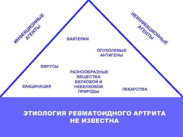 Ф ЕК А Ц ГЕ И Н ОН ТЫ Н Ы Е ИН Ф