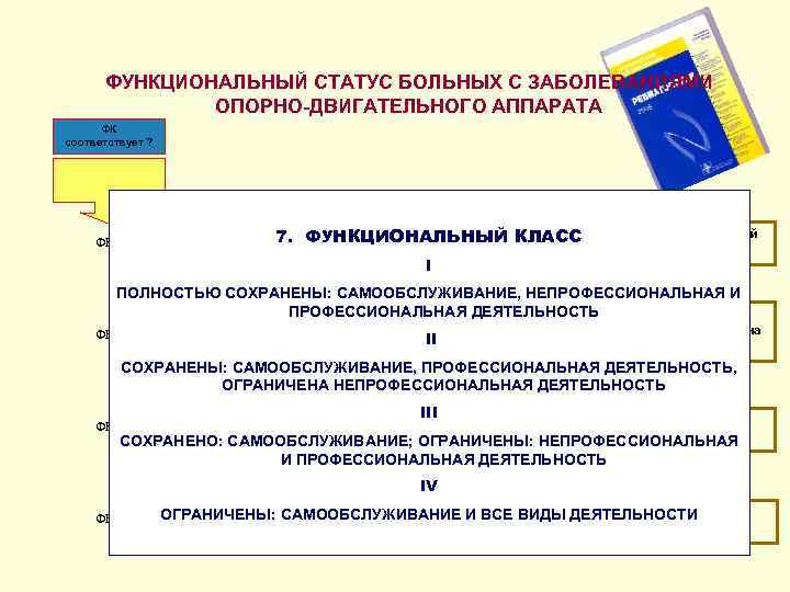 ФУНКЦИОНАЛЬНЫЙ СТАТУС БОЛЬНЫХ С ЗАБОЛЕВАНИЯМИ ОПОРНО-ДВИГАТЕЛЬНОГО АППАРАТА ФК соответствует ? ФНС-0 I ФУНКЦИОНАЛЬНЫЙ Полная