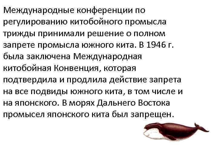 Международные конференции по регулированию китобойного промысла трижды принимали решение о полном запрете промысла южного