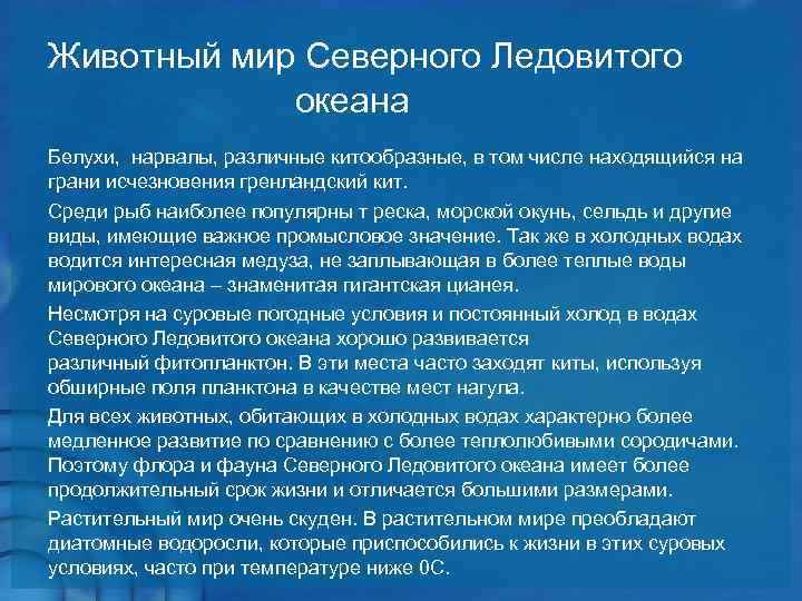 Животный мир Северного Ледовитого океана Белухи, нарвалы, различные китообразные, в том числе находящийся на