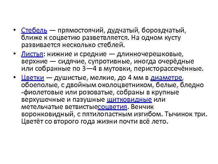  • Стебель — прямостоячий, дудчатый, бороздчатый, ближе к соцветию разветвляется. На одном кусту