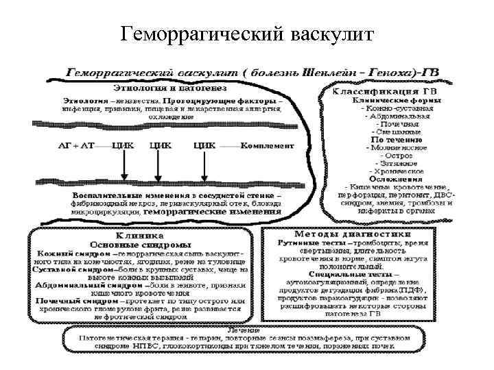 План обследования при геморрагическом васкулите