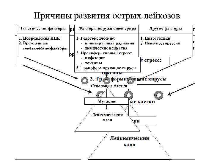 Причины развития острых лейкозов 