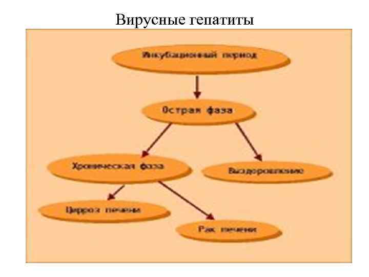 Вирусные гепатиты 