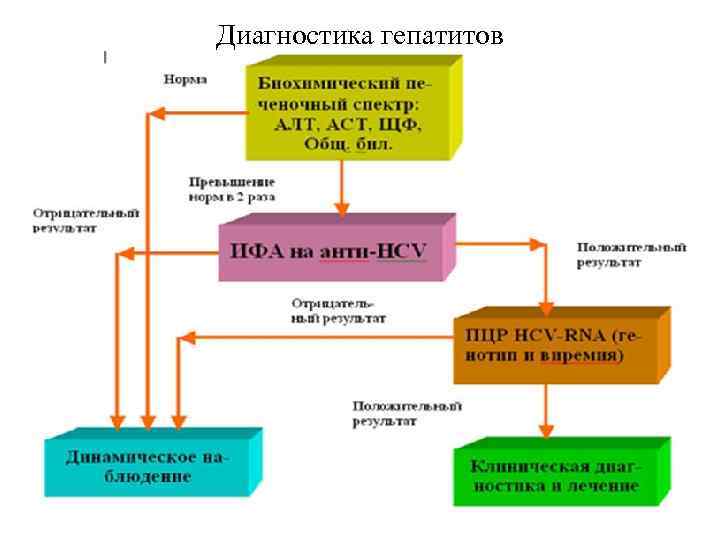 Диагностика гепатитов 