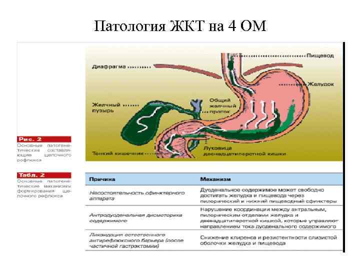 Карта вызова смп желудочно кишечное кровотечение шпаргалка