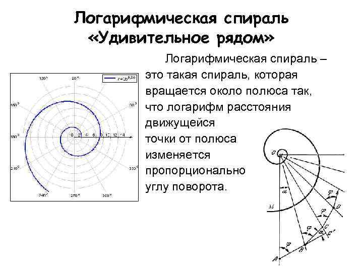 Нарисовать спираль логарифмическая