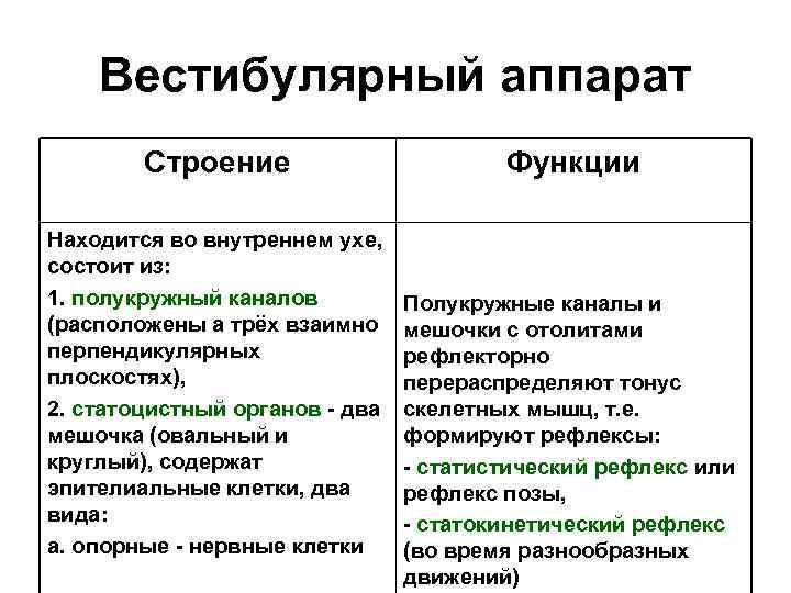 Функции прибора. Строение вестибулярного аппарата таблица. Вестибулярный анализатор строение и функции. Анализатор равновесия строение и функции. Вестибулярный аппарат строение и функции таблица.