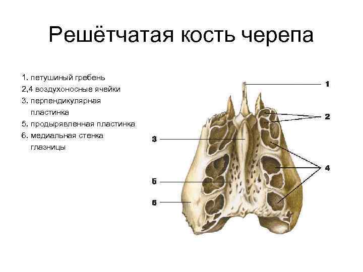 Решетчатые функции и их изображения