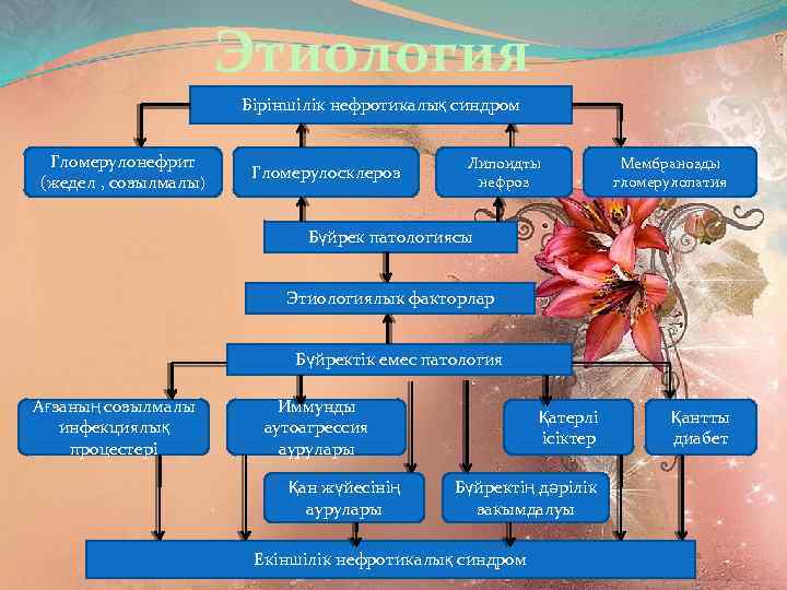 Этиология Біріншілік нефротикалық синдром Гломерулонефрит (жедел , созылмалы) Гломерулосклероз Липоидты нефроз Мембранозды гломерулопатия Бүйрек