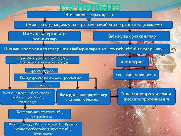 Этиологиялық факторлар Шумақшалардың жасушалары мен мембраналарының зақымдалуы Иммуноаллергиялық реакциялар Қабынулық реакциялар Шумақшалар капиллярларының қабырғаларының