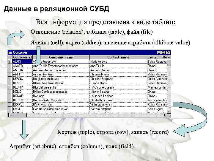 Данные в реляционной СУБД Вся информация представлена в виде таблиц: Отношение (relation), таблица (table),