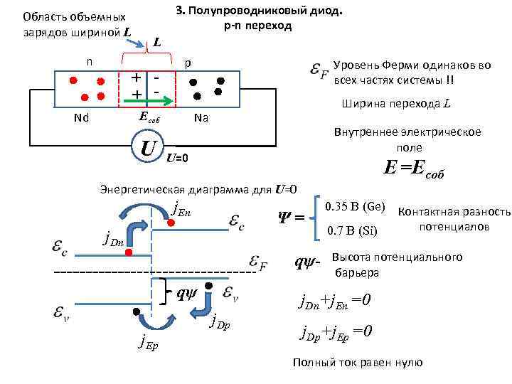 Область объемных зарядов шириной L n 3. Полупроводниковый диод. p-n переход L + +