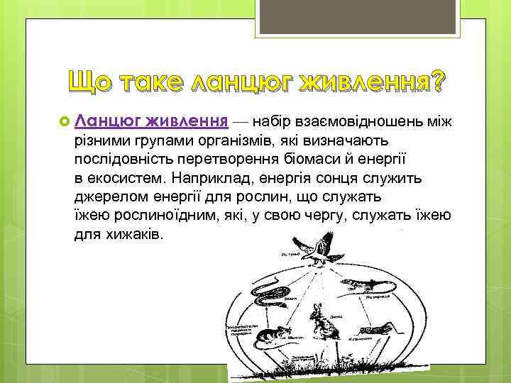 Що таке ланцюг живлення? Ланцюг живлення — набір взаємовідношень між різними групами організмів, які