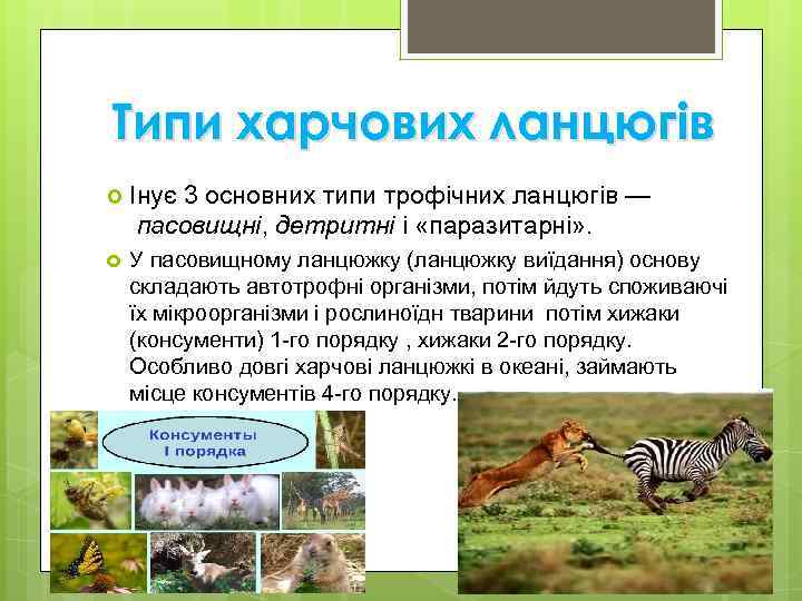 Типи харчових ланцюгів Інує 3 основних типи трофічних ланцюгів — пасовищні, детритні і «паразитарні»