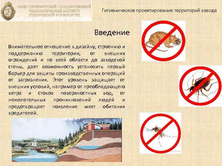 Гигиеническое проектирование территорий завода Введение Внимательное отношение к дизайну, строению и поддержанию территории, от