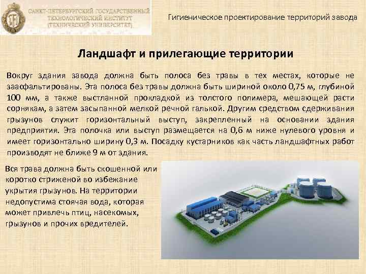Гигиеническое проектирование территорий завода Ландшафт и прилегающие территории Вокруг здания завода должна быть полоса