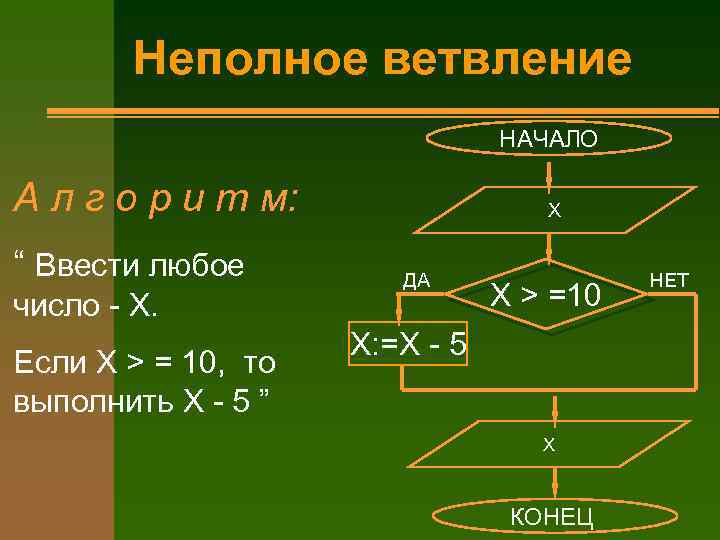 Неполное ветвление НАЧАЛО А л г о р и т м: “ Ввести любое