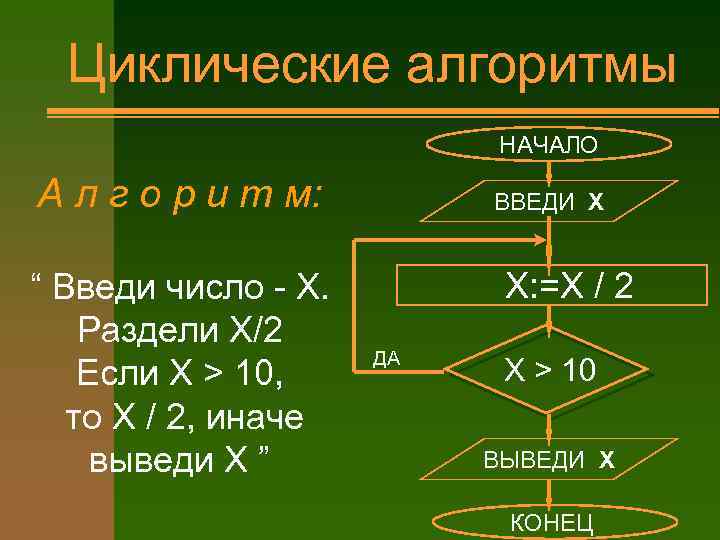 Циклические алгоритмы НАЧАЛО А л г о р и т м: “ Введи число