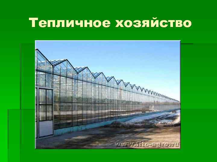 Тепличное хозяйство 