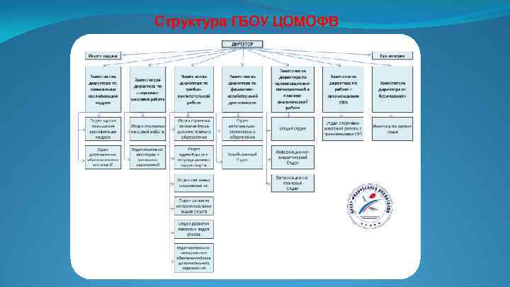 Структура ГБОУ ЦОМОФВ 