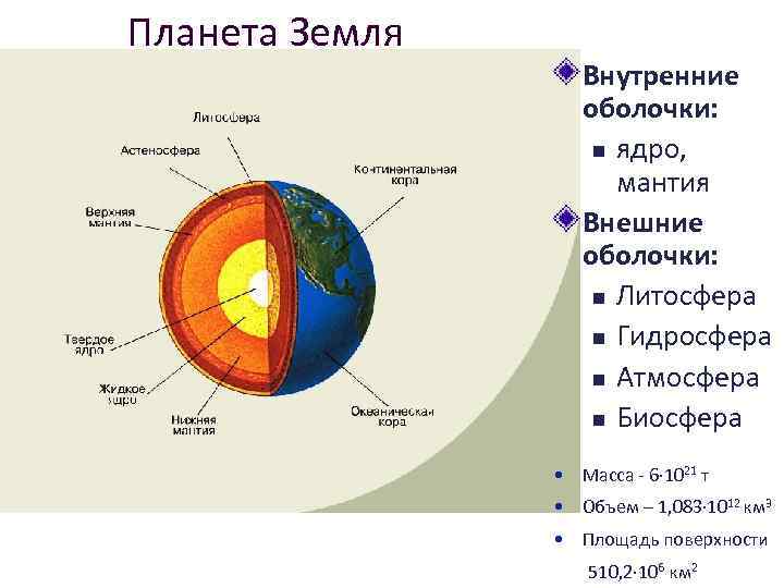 Установите соответствие между внутренними оболочками земли обозначенными на рисунке и их названиями