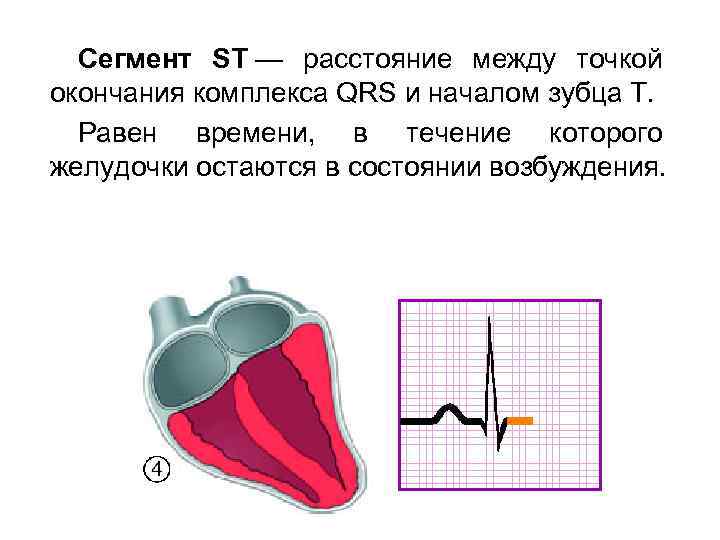 Сегмент ST — расстояние между точкой окончания комплекса QRS и началом зубца Т. Равен