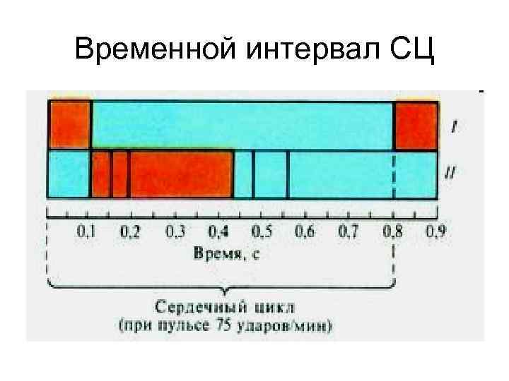 Временной диапазон