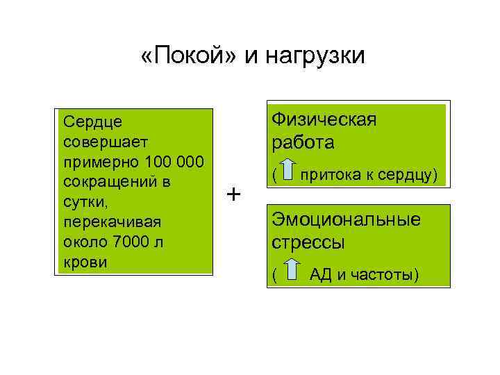  «Покой» и нагрузки Сердце совершает примерно 100 000 сокращений в сутки, перекачивая около