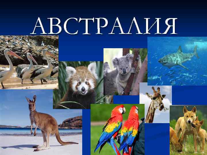 АВСТРАЛИЯ 