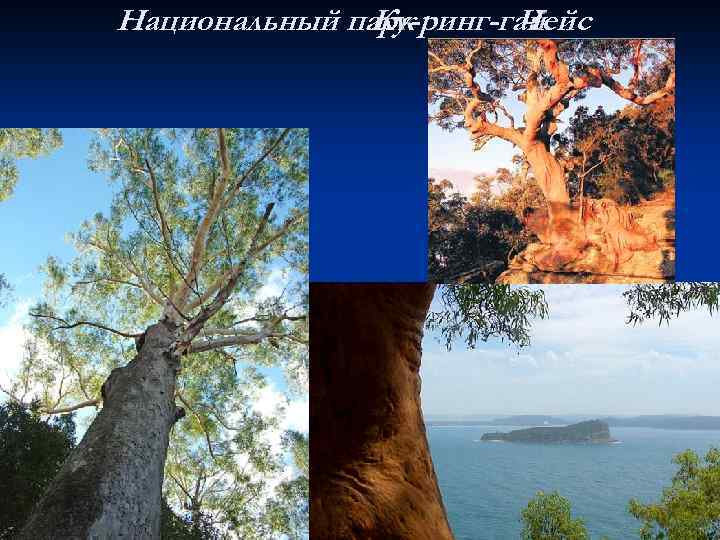 Национальный парк Ку-ринг-гай Чейс 