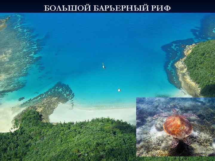 БОЛЬШОЙ БАРЬЕРНЫЙ РИФ 