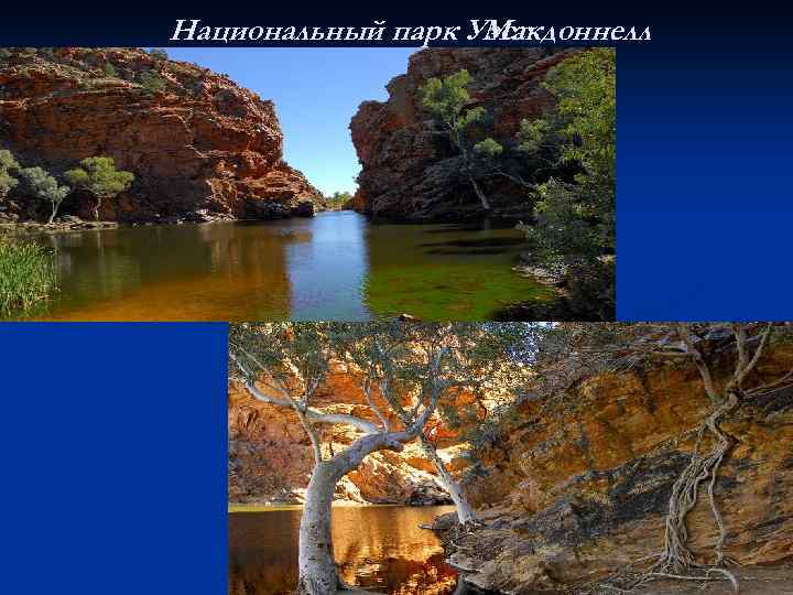 Национальный парк Уэст Макдоннелл 