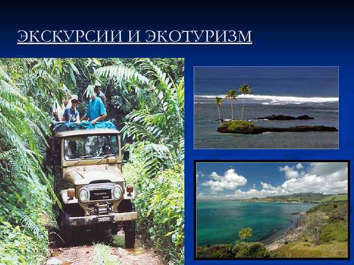 ЭКСКУРСИИ И ЭКОТУРИЗМ 