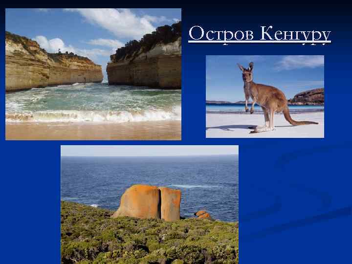 Остров Кенгуру 
