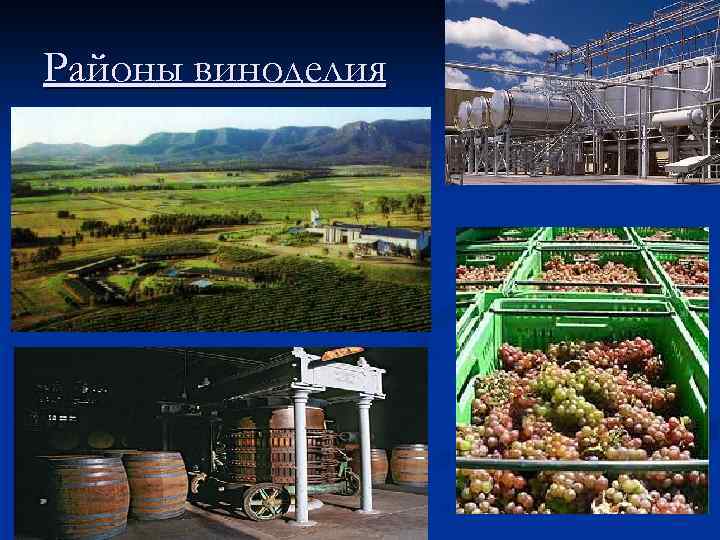 Районы виноделия 