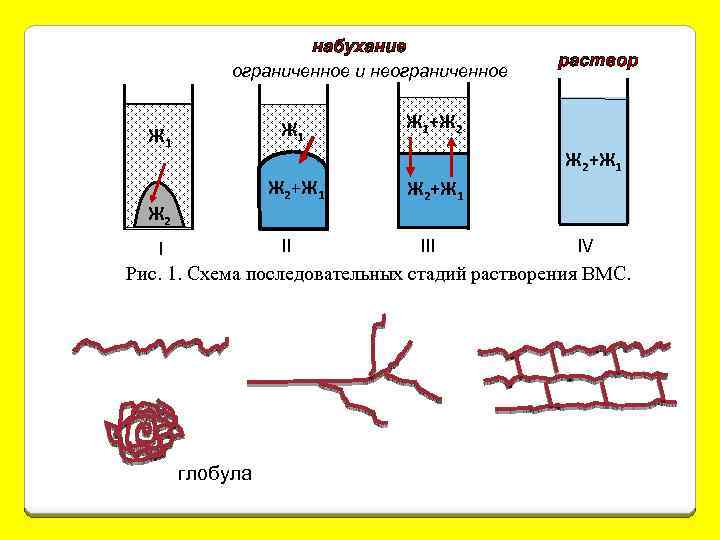 набухание ограниченное и неограниченное Ж 1 Ж 2+Ж 1 Ж 2 раствор Ж 1+Ж