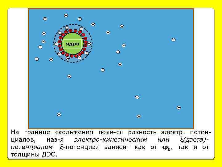 ядро На границе скольжения появ-ся разность электр. потенциалов, наз-я электро-кинетическим или ξ(дзета)потенциалом. ξ-потенциал зависит