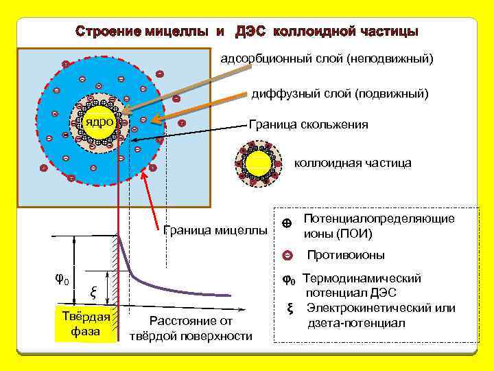 Строение мицеллы и ДЭС коллоидной частицы адсорбционный слой (неподвижный) диффузный слой (подвижный) ядро Граница