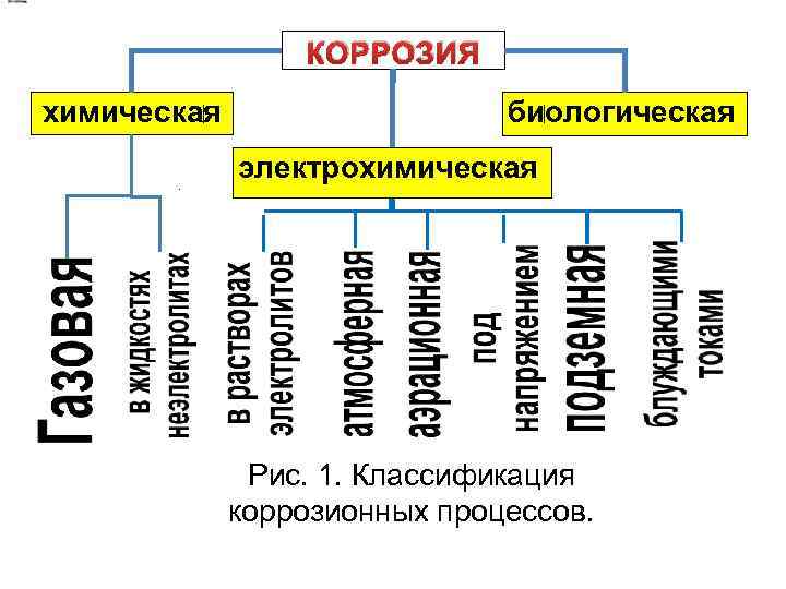 КОРРОЗИЯ химическая биологическая электрохимическая Рис. 1. Классификация коррозионных процессов. 
