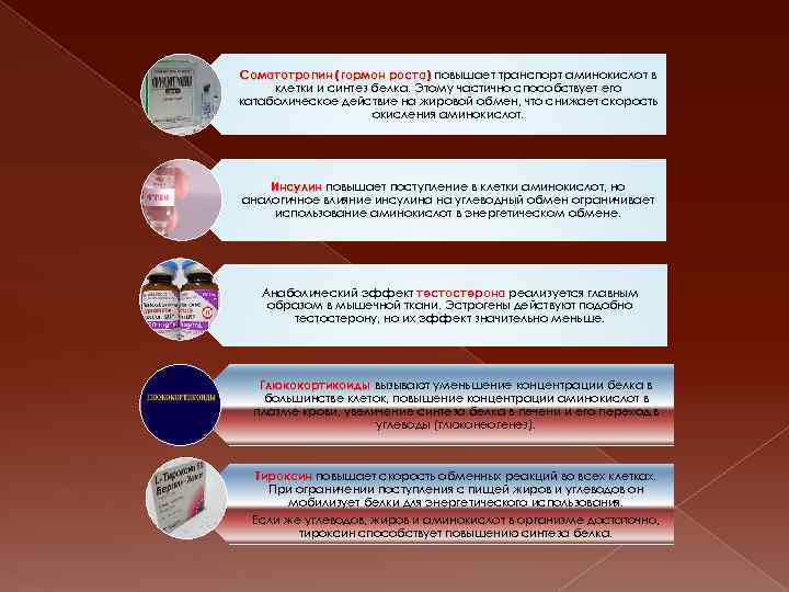 Соматотропин (гормон роста) повышает транспорт аминокислот в клетки и синтез белка. Этому частично способствует